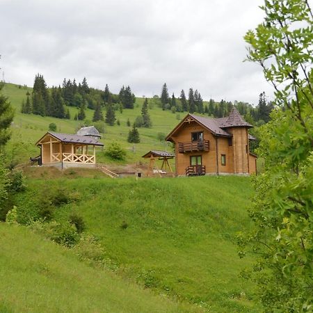 Пагорб Їжака / Hedgehog Hill Villa Yablunytsya Eksteriør billede